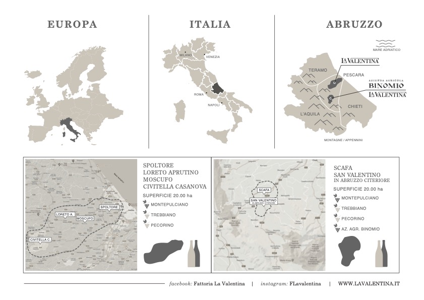 Mappa vigneti La Valentina